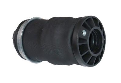 MOLA PNEUMATICA CABINE TRASEIRA - 2453685