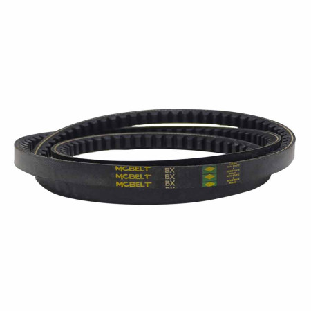 CORREIA BX - 20764628