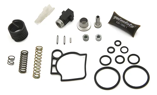 JG REPARO VALVULA MANETIM - 6934317105