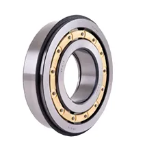 CONJUNTO ROLAMENTO ROLO CILINDRICO - 0019811701