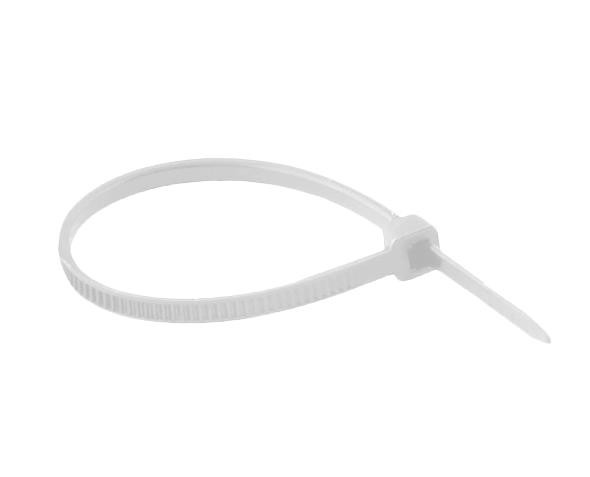 ABRACADEIRA NYLON 10CM (100MMX2,5MM) - C10P
