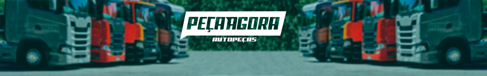 PAR BRACO LIMPADOR PARABRISA SCANIA 111 JACARE 76 A 91 - K.530364-530363-761E