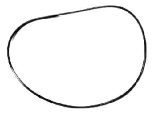 ANEL VEDADOR PINHAO DIFERENCIAL MS13113    ORIGINAL - 5X1304