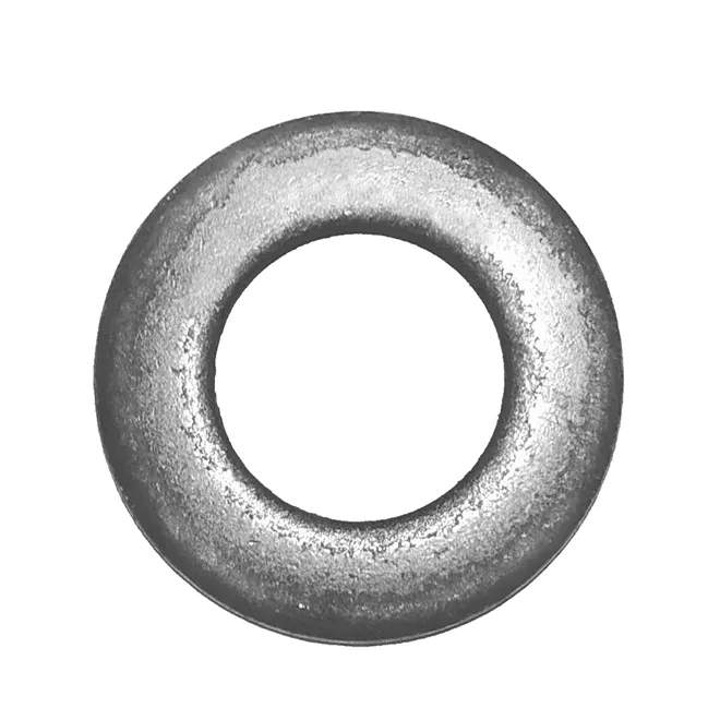 ARRUELA DO PARAFUSO CAIXA PINHAO DIFERENCIAL RS240 MS120 - 009759