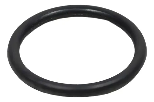 ANEL VEDACAO CARCACA BOMBA OLEO ( 19X3 ) - GW0600