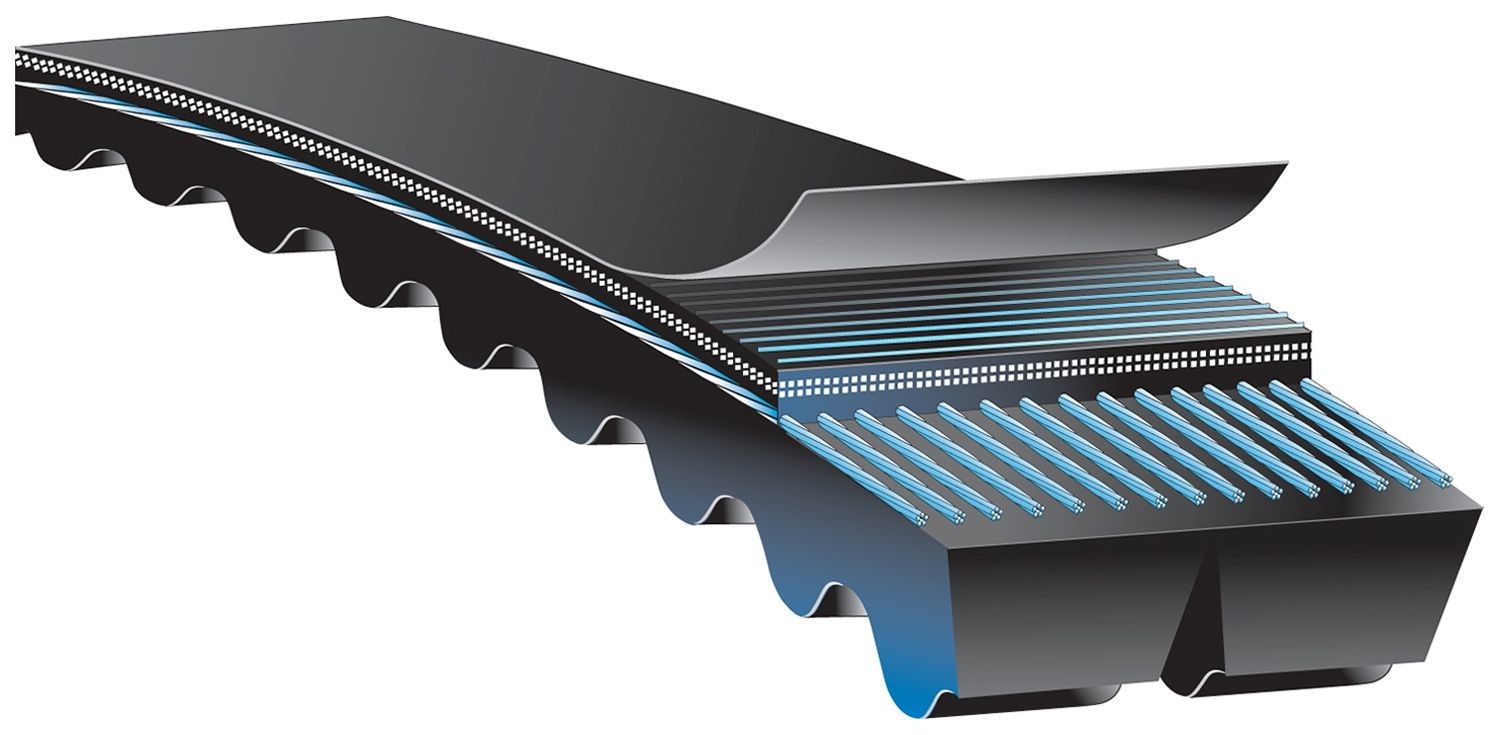 CORREIA V DUPLA - 2/XPB1782