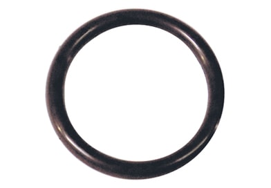 ANEL VEDACAO VALVULA - 17288881