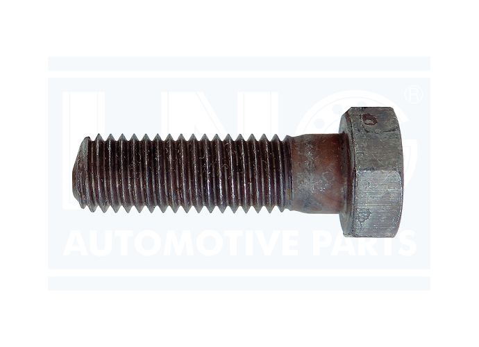 PARAFUSO TERMINAL CARDAN - 814841