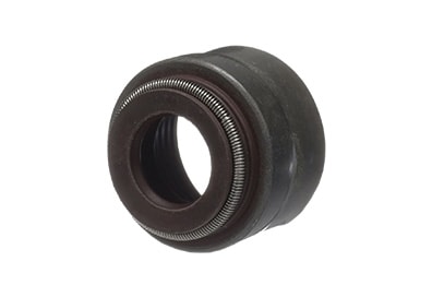 RETENTOR DE VALVULA - 5801496546