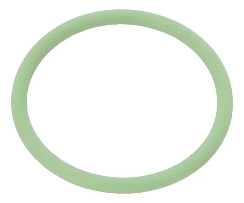 ANEL VEDACAO RADIADOR OLEO RETARDER - 294548