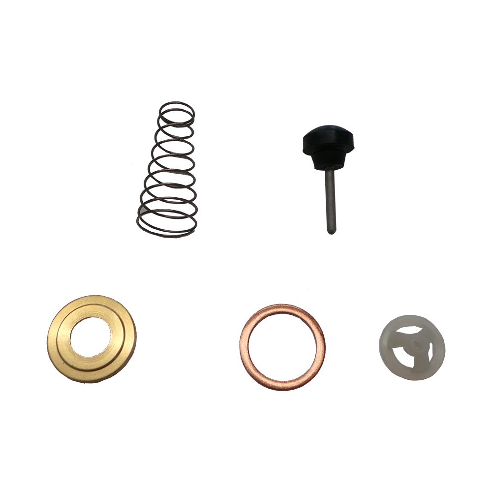 REPARO VALVULA RETENCAO - 538425