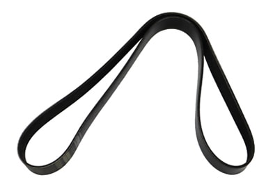 CORREIA (10PK1547) - 24016649