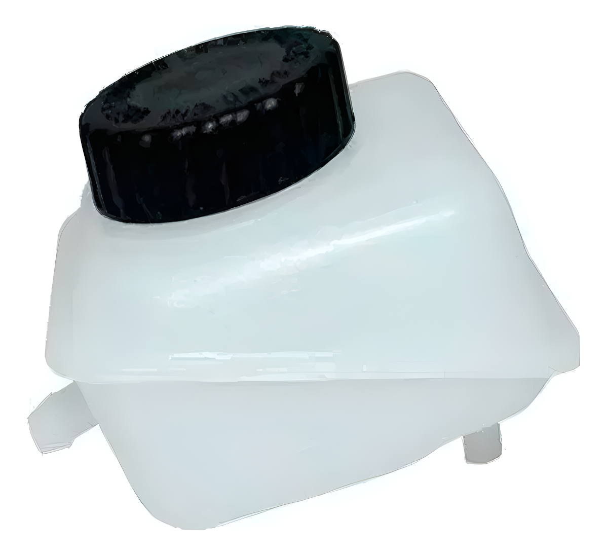 RESERVATORIO P/FLUIDO FREIO ORIGINAL C/T - 3084307002