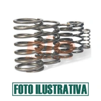 MOLA DE VALVULA EXTERNA MWM 4.10/6.10 STD - 530340801