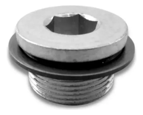 BUJAO CABECOTE MOTOR - 504113994