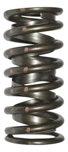 MOLA DUPLA VALVULA ESCAPE - 3916588