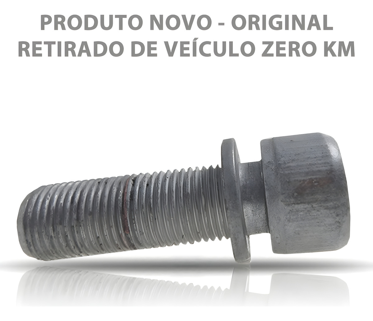 PARAFUSO PINCA FREIO FIAT DUCATO - AG380