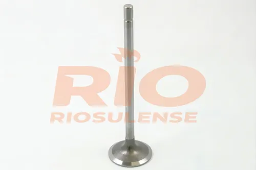 VALVULA ADMISSAO MWM NGD 370 - VS5480