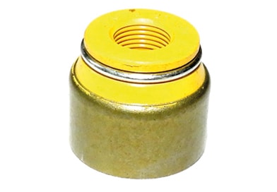 RETENTOR VALVULAS ESCAPE - 4895411