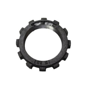 PORCA ANTONINI FACCHINI GUERRA ANTIGA - 1260110187