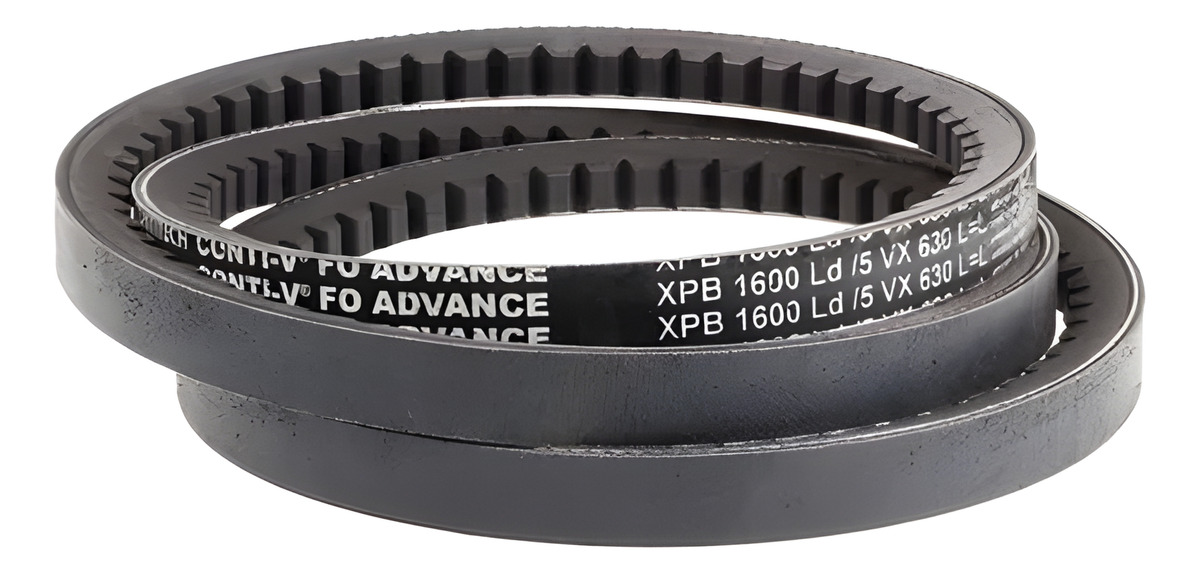 CORREIA XPB2664 SIMPLES - XPB2664