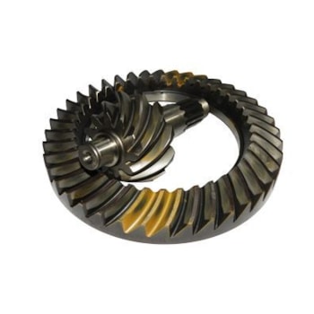 COROA PINHAO - 7188728