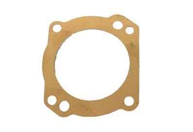 CALCO TAMPA TRASEIRA - TN4301235