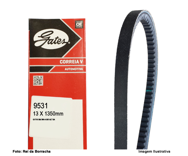 CORREIA EM V - 9531