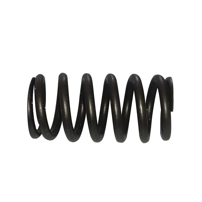 MOLA VALVULA ESCAP - 2RL109623-IIW