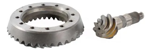 COROA PINHAO - 7188728