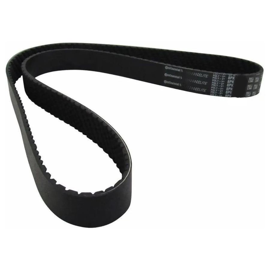 CORREIA POLI V - 8PK1870