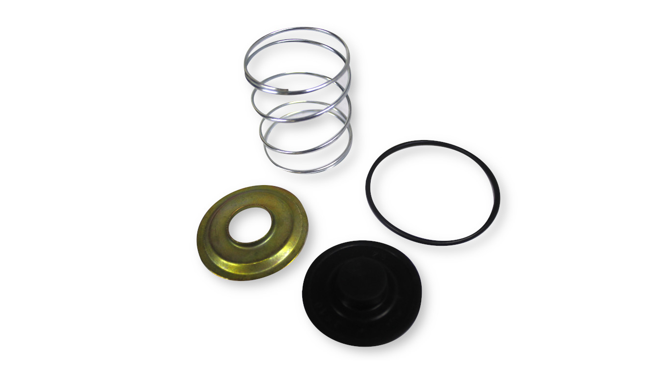 REPARO VALVULA DESCARGA RAPIDA - 100000094318