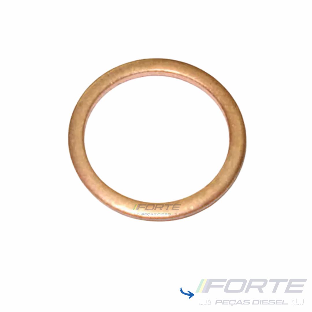 ANEL VEDACAO - 000000001072