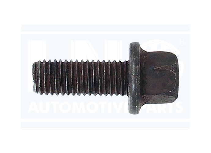 PARAFUSO TERMINAL CARDAN - 501033