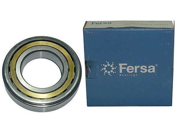 ROLAMENTO EIXO PILOTO - 0079812501