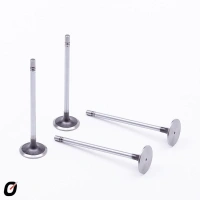 VALVULA ADMISSAO IVECO DAILY - VADIV30