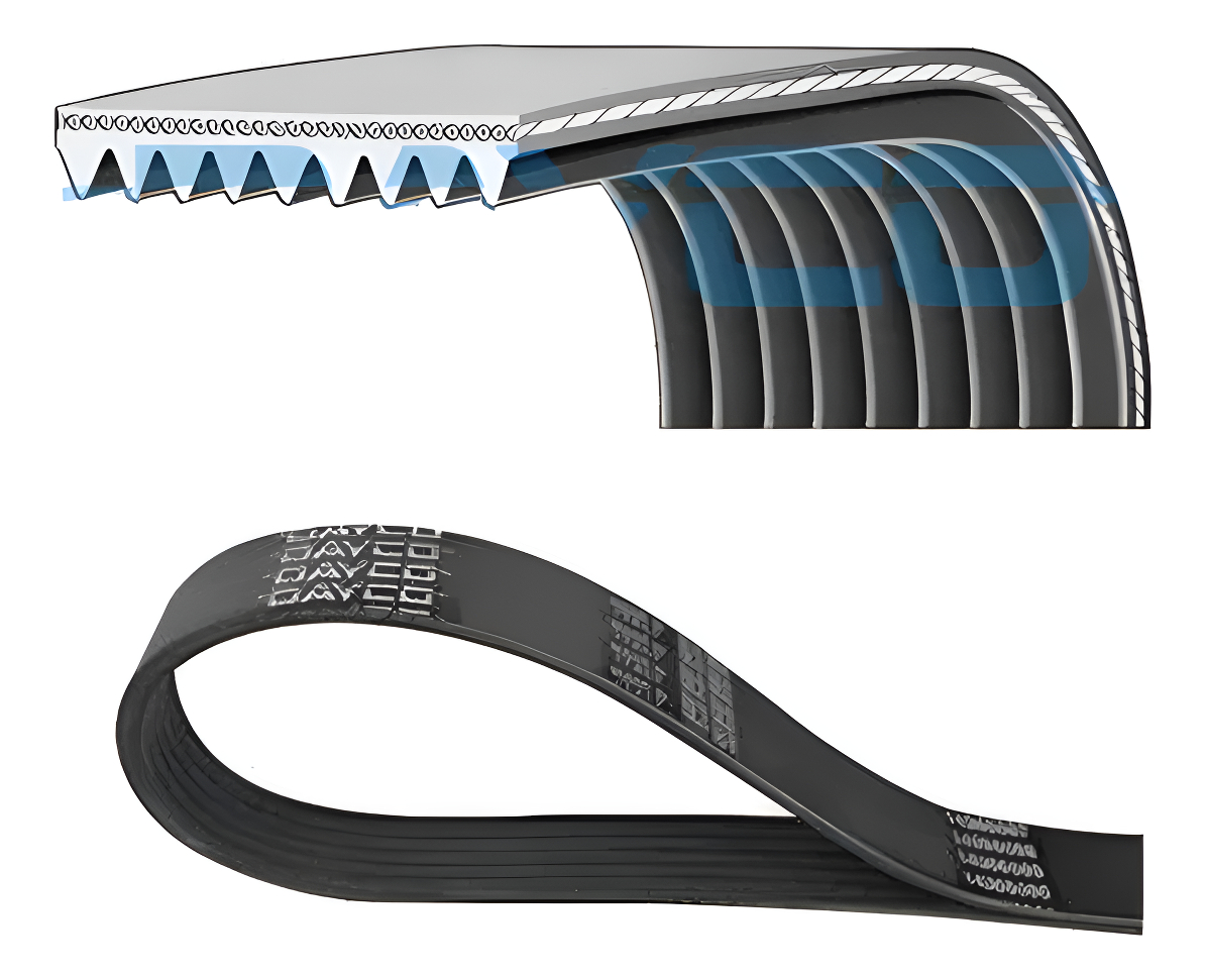 CORREIA PV - 9PK2010HD