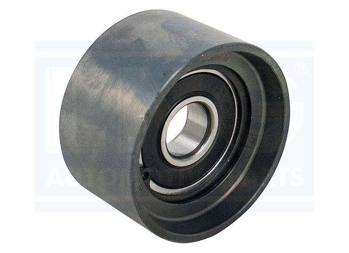 POLIA TENSOR CORREIA - 07W 145 279 D