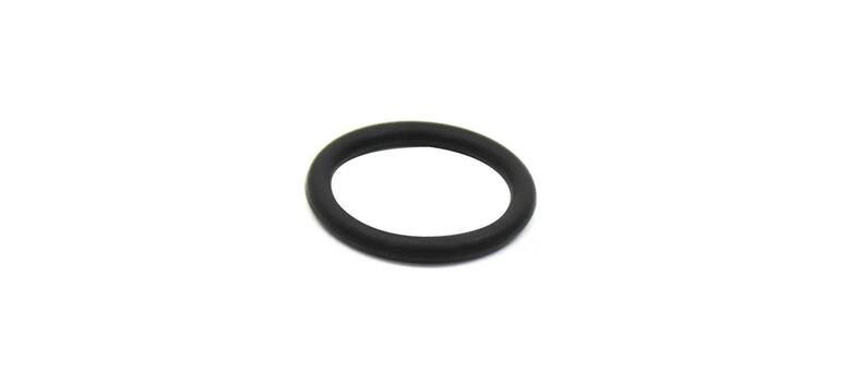 ANEL ORING INJETOR EURO V - 6020101289009