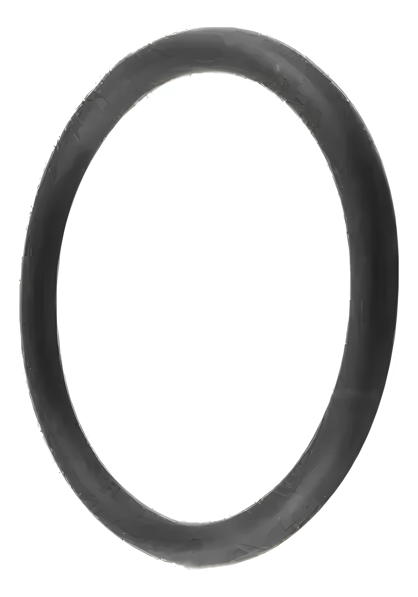 ANEL VEDACAO CARCACA TERMOSTATO MOTOR ISF 2.8 4CIL EURO V - GW0946