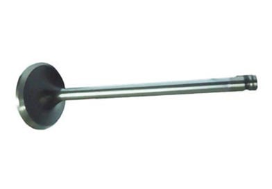 VALVULA ESCAPE MOTOR CUMMINS 6CTAA 8.3 - TE3109611