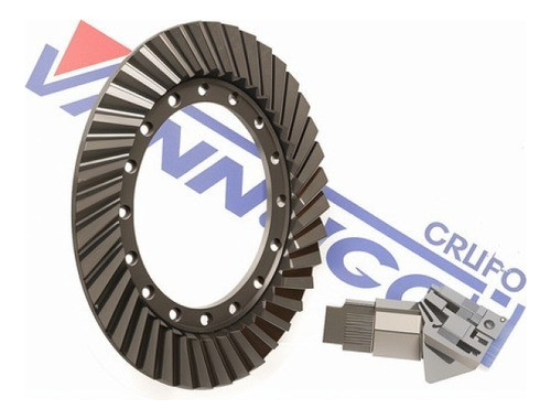 COROA PINHAO 10X43 - 23B525143N