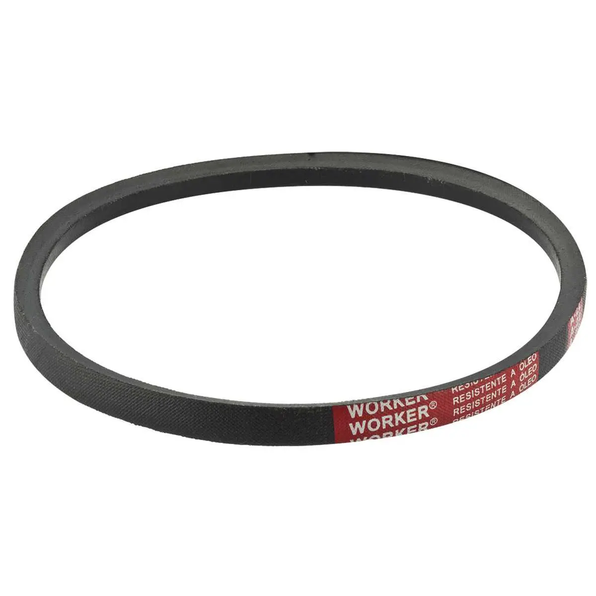 CORREIA MULTI V - 1389044