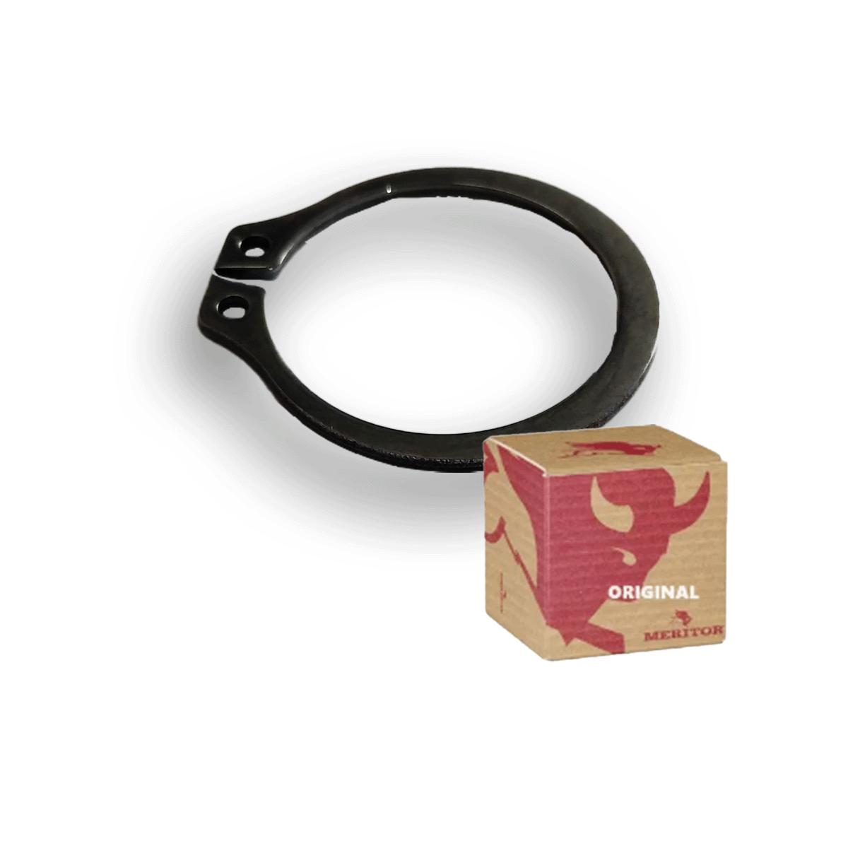 ANEL ELASTICO PONTA PINHAO 1.57 - 0089948341