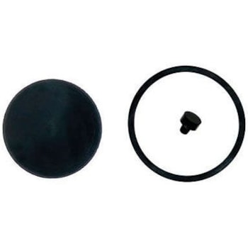 JG.REP.VALVULA DESCARGA - 0004205955