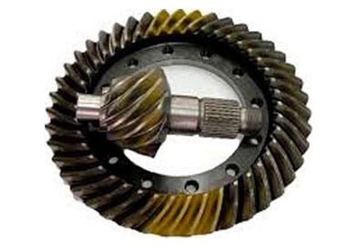 COROA E PINHAO 41X7 RAT 5.86  RS140 - T12525143-99