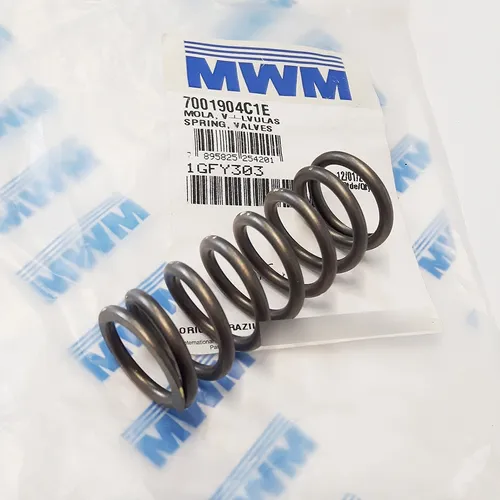 MOLA VALVULAS - 7001904C1E