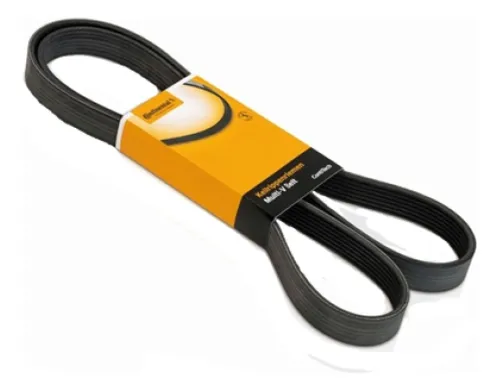 CORREIA MULTI V - 20430613