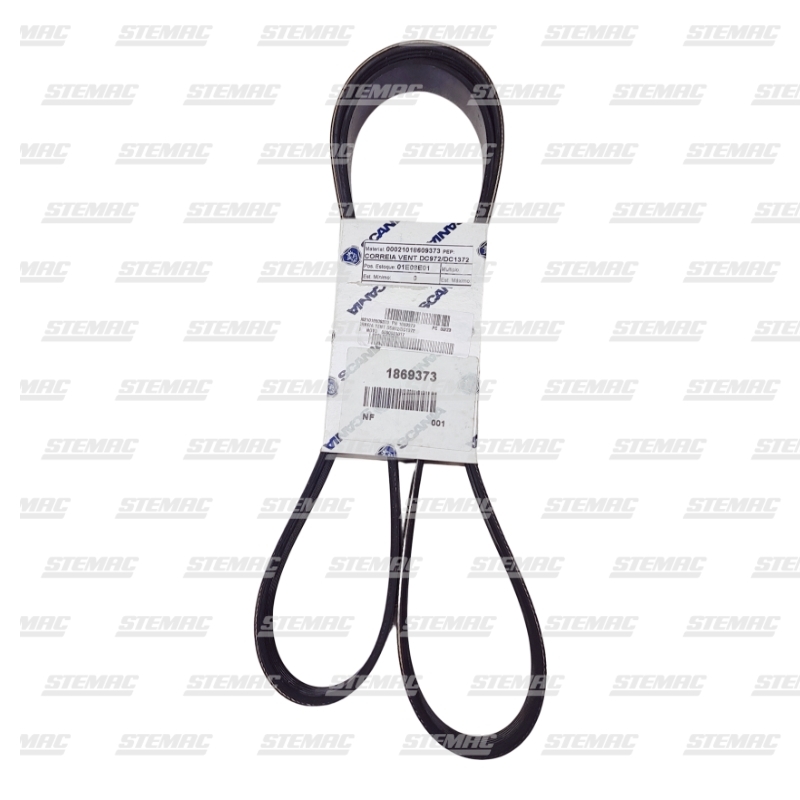 CORREIA POLI V - 1869373