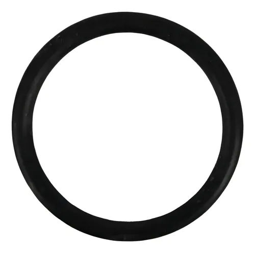 ANEL ORING - 604931000344E